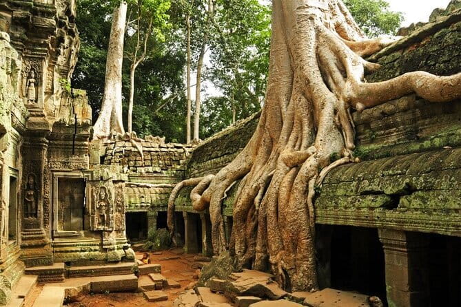 Exclusive Angkor temples and Small group temples tours - What this Angkor day is really designed to do