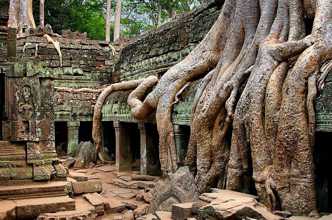 Explore Angkor Wat Temple , Bayon Temple and Jungle Temple Ta-Prohm - The guide and vehicle are central to the value