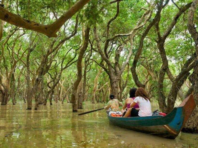 Floating Village-Mangroves Forest Tonle Sap Lake Boat Tour - Stilted houses and the life of Kampong Phluk