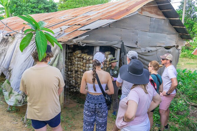 Floating Village Sunset Boat & Jeep Tour - Inclusive Drinks - Mushroom farming and Cambodian rice wine at Wat Po Banteaychey
