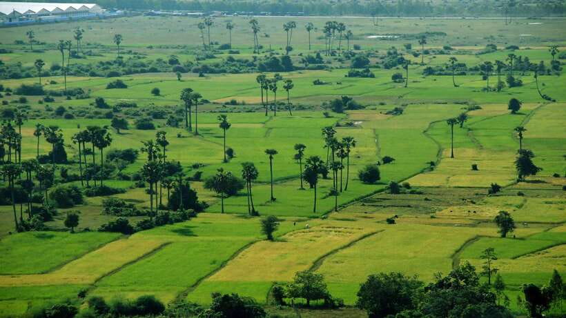 From Siem Reap: Battambang Day Trip Bamboo Train, Bats Cave - The guide can shape the whole day