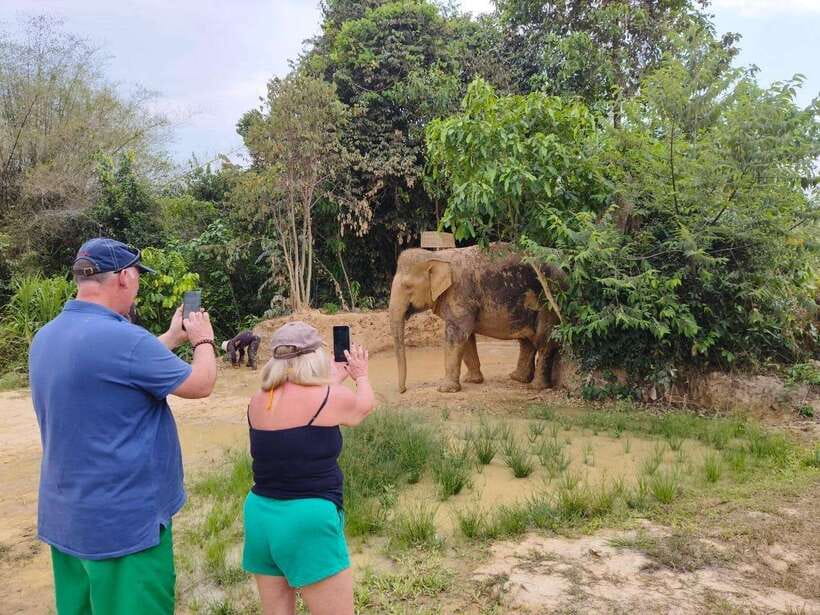From Siem Reap: Elephant Sanctuary Experience with Transfers - Quick takeaways