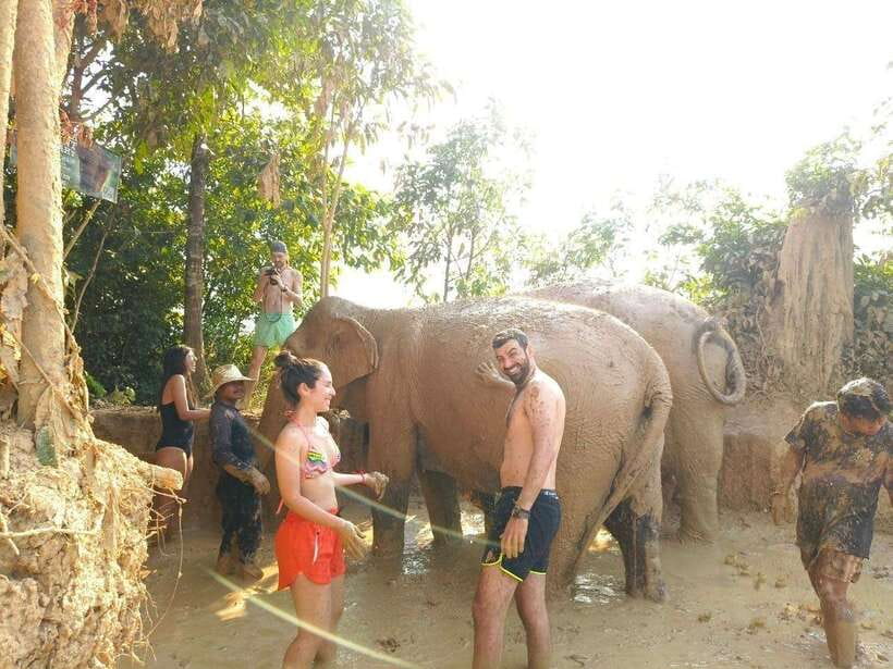 From Siem Reap: Elephant Sanctuary Experience with Transfers - Why this sanctuary feels different