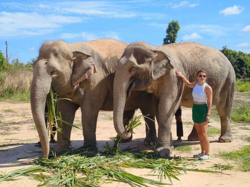 From Siem Reap: Elephant Sanctuary Experience with Transfers - Your first briefing with the local guide