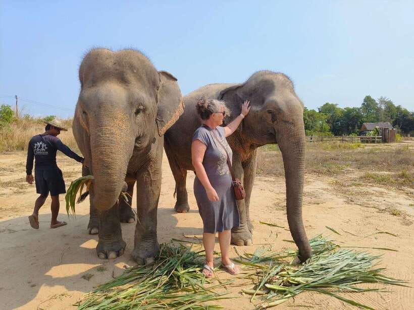From Siem Reap: Elephant Sanctuary Experience with Transfers - Who should book this experience