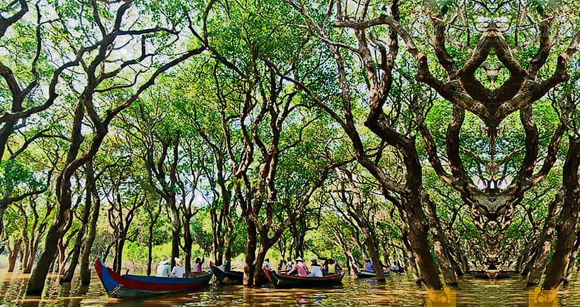 From Siem Reap: Floating Village Tour by Boat - A floating cafe and the ride back
