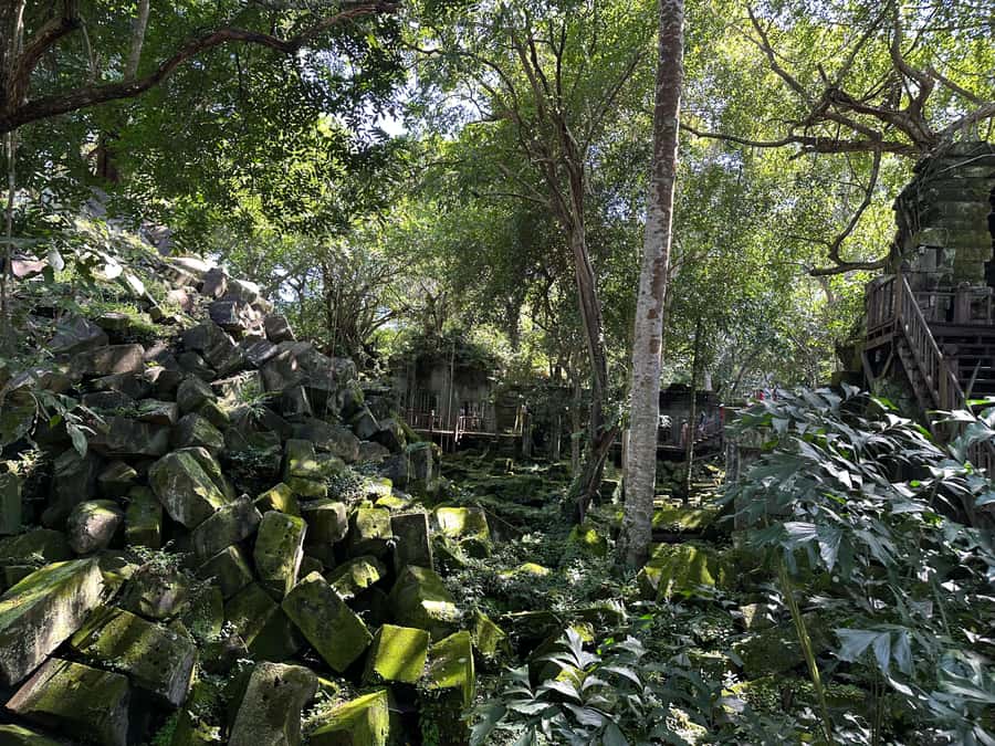 From Siem Reap: Half-Day Tour to Beng Mealea Temple - Morning or afternoon departure?