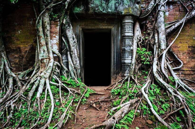 From Siem Reap: Koh Ker and Beng Mealea Temples Tour - What the guide adds to the experience