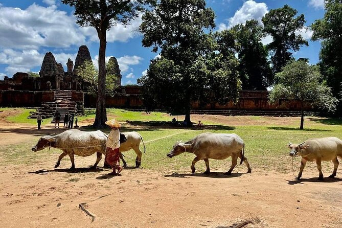 Full-Day 'Big Tour' with Sunset at Phnom Bakheng - Ta Som: roots, ruins, and a slower pace