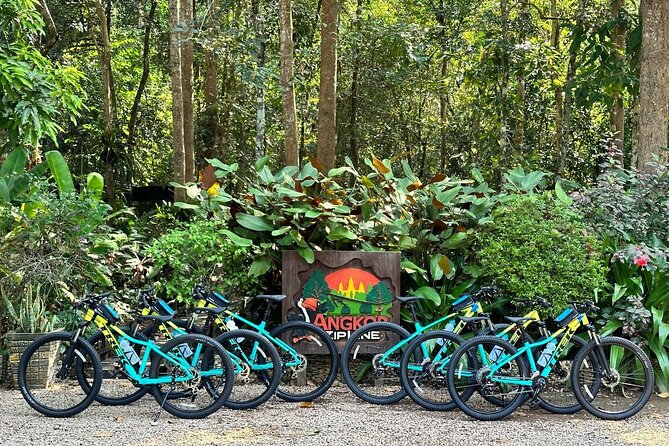 Full-Day Bike Tour in Siem Reap with Zipline - Bayon from a less familiar angle