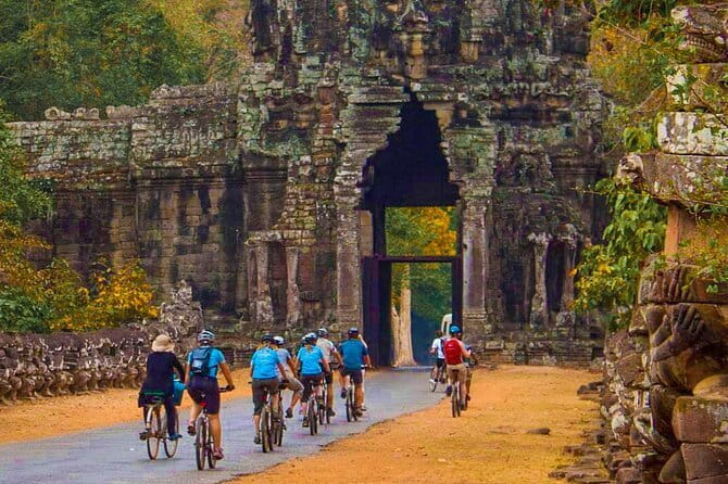 Full-Day Guided Bicycle Tour in Angkor Wat Temple - Ta Prohm and the power of the trees
