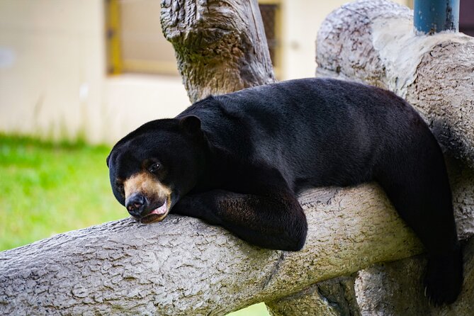 Full Day Pass Angkor Wildlife and Aquarium - Siem Reap - Start with Cambodia beneath the water