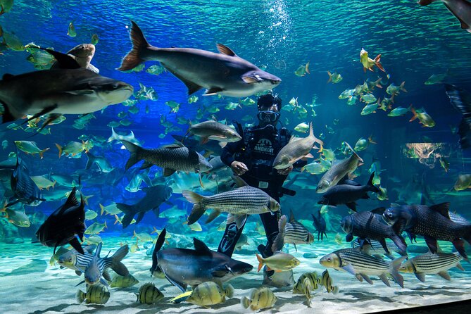 Full Day Pass Angkor Wildlife and Aquarium - Siem Reap - Meet tigers, otters, bears, and crocodiles