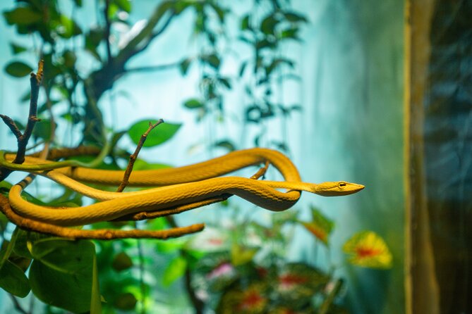 Full Day Pass Angkor Wildlife and Aquarium - Siem Reap - Is $15 a fair price?