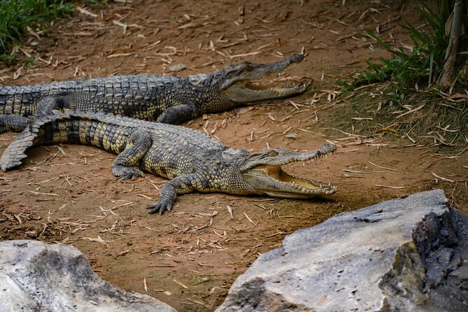Full Day Pass Angkor Wildlife and Aquarium - Siem Reap - Move from Tonle Sap to the ocean