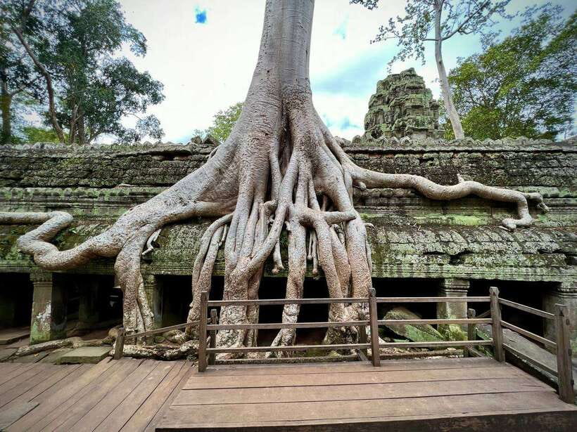 Full Day Private of Angkor Wat Tour with Tuk Tuk - Banteay Kdei for a quieter final visit