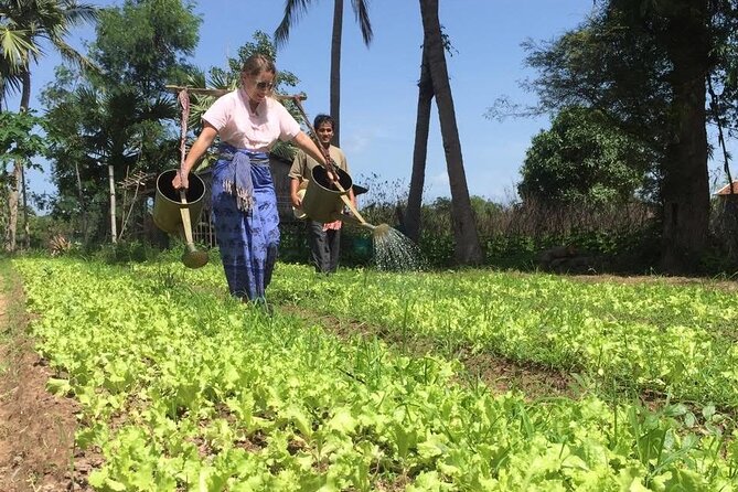 Full Day Siem Reap Farm Tour with Cooking Class and Monk Blessing - Leaving Siem Reap for Krabei Riel