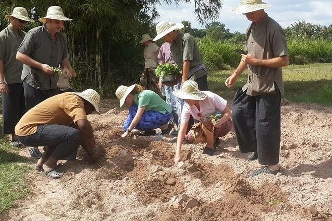 Full Day Siem Reap Farm Tour with Cooking Class and Monk Blessing - Should you book it?