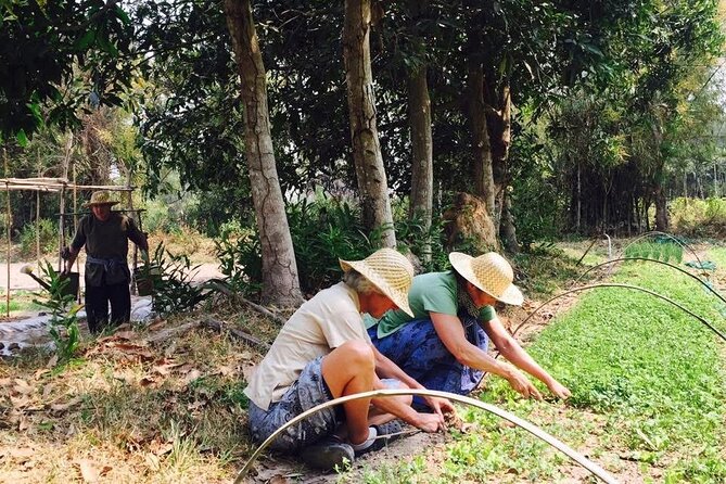 Full Day Siem Reap Farm Tour with Cooking Class and Monk Blessing - The monk blessing and its place in the day