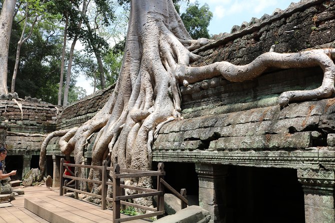 Full Day Temples Explorer - Small Group - Transport, group size, and pace