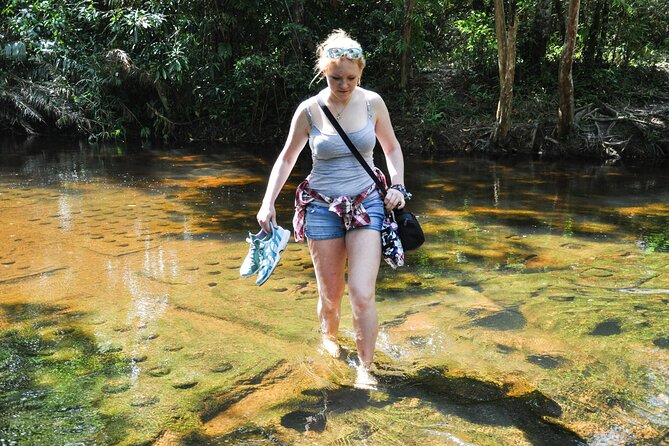 Full Day to Banteay Srei, Kulen National Park and Beng Mealea - Beng Mealea, a temple left in its ruined state