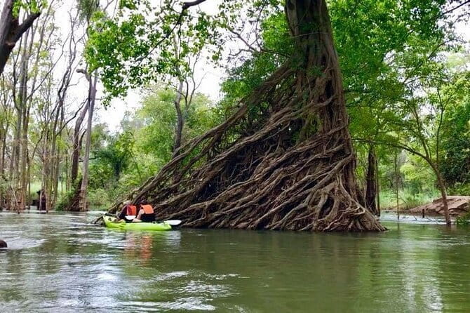 Full Day Tour from Siem Reap - Bamboo Train, Killing Cave & Sunset - Who should book this day trip?