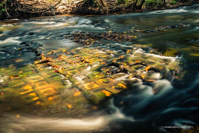 Guided Small-Group Tour in Kulen Mountain Park Waterfall - The guides can shape the whole day