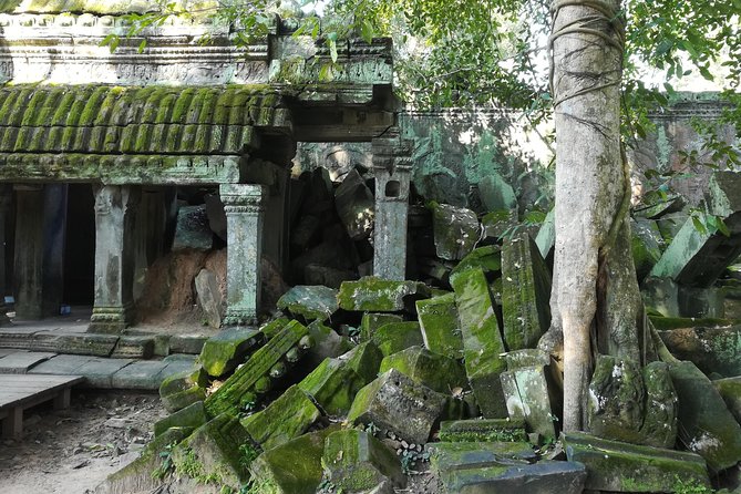 Half Day Angkor Wat Sunrise Private Tour - Why sunrise at Angkor Wat is worth the early alarm
