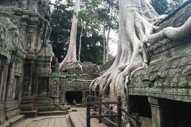Half Day Angkor Wat Sunrise Private Tour - Angkor Wat after dawn: more than a sunrise photograph