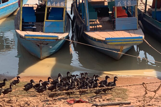 Half Day Floating Village ( Mechrey) & Tole Sap Tour - What the private format adds