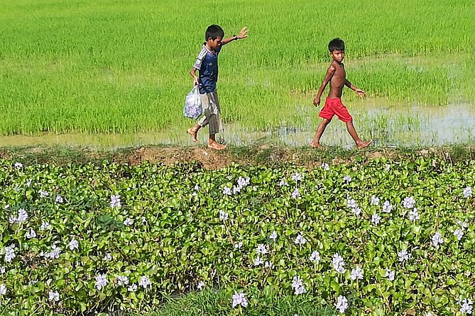Half Day Floating Village ( Mechrey) & Tole Sap Tour - Is $65 good value?