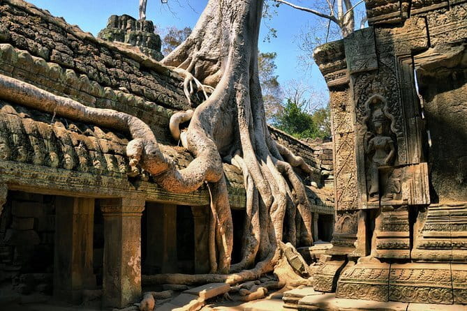 Half Day River Monster Tour with Private Guide in Siem Reap - Is $30 a fair price?
