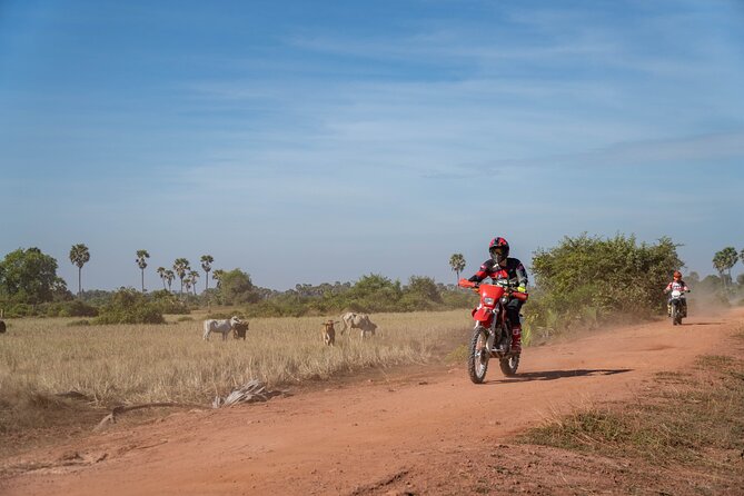 Half Day Siem Reap Off-Road Ride Tour - Who will enjoy it most