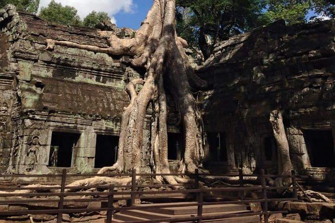 Half-Day Ta Prohm and Banteay Kdei Tour - Srah Srang offers a calm pause by the water