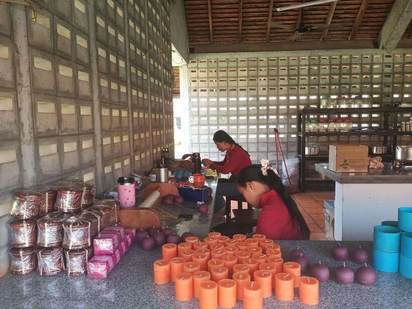Half Day Trip: Silk Farm, Satcha, and Senteur d'Angkor Tour - Angkor Silk Farm: the clearest look at traditional production