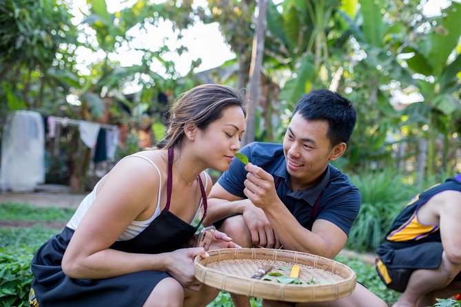 Khmer Cooking Class at a Local's Home in Krong Siem Reap - A Khmer cooking class that starts at the market