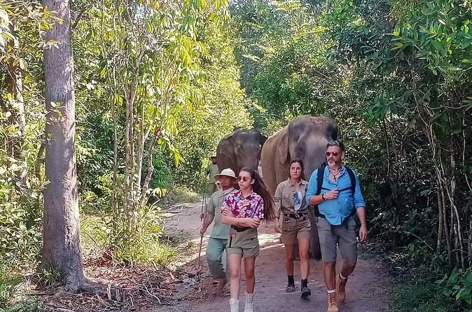 Kulen Elephant Forest and Tonle Sap Lake by Private Tour - Is $199 per person a fair price?