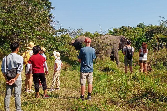 Kulen Elephant Forest and Tonle Sap Lake by Private Tour - Lunch, snacks, and the camp setting