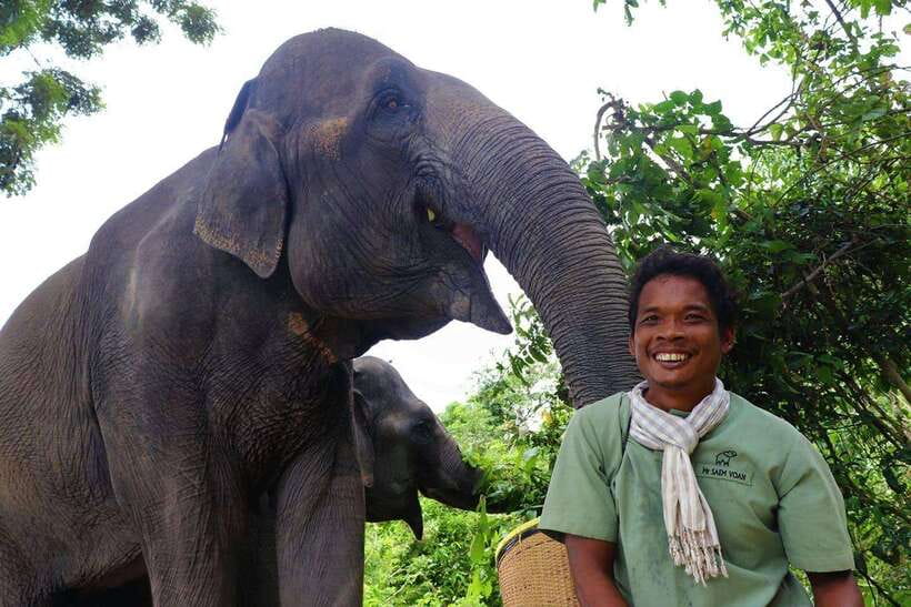 Kulen Elephant Forest Siem Reap in Small Group - Key points to know before booking