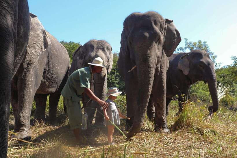 Kulen Elephant Forest Siem Reap in Small Group - Making healthy snacks for the elephants