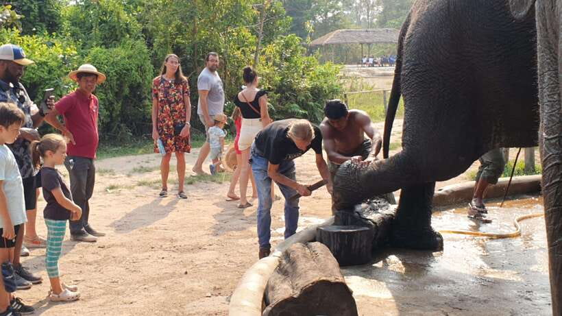 Kulen Elephant Forest & Tonlesap Lake - From the forest to Tonle Sap Lake