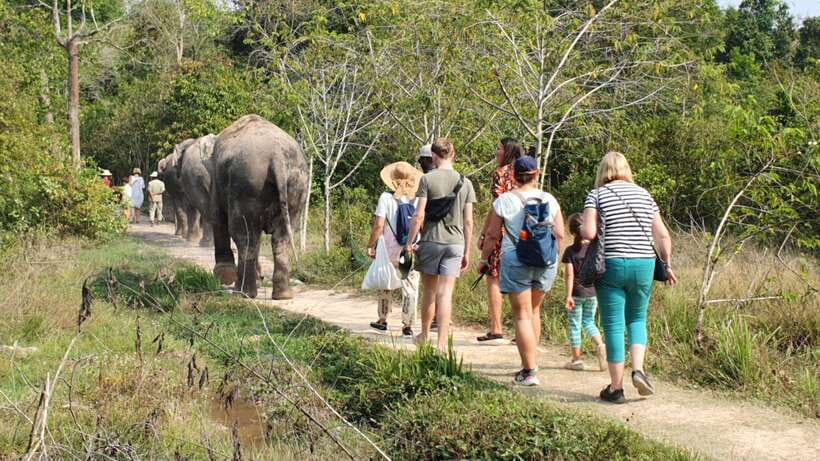 Kulen Elephant Forest & Tonlesap Lake - Timing, pickup, and practical planning