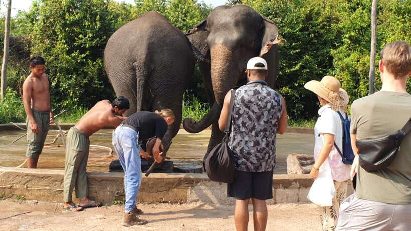 Kulen Elephant Forest & Tonlesap Lake - Who will enjoy this day most