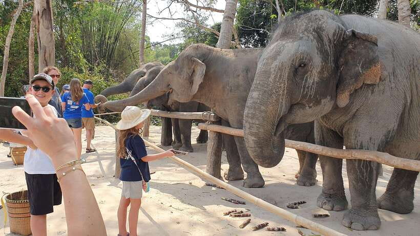 Kulen Elephant Forest & Tonlesap Lake - The 2-kilometer walk and waterfall scenery