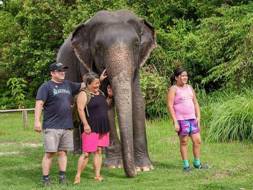 Kulen Elephant Forest Tour with Hotel Pick-up & Drop off - A retirement forest, not an elephant performance