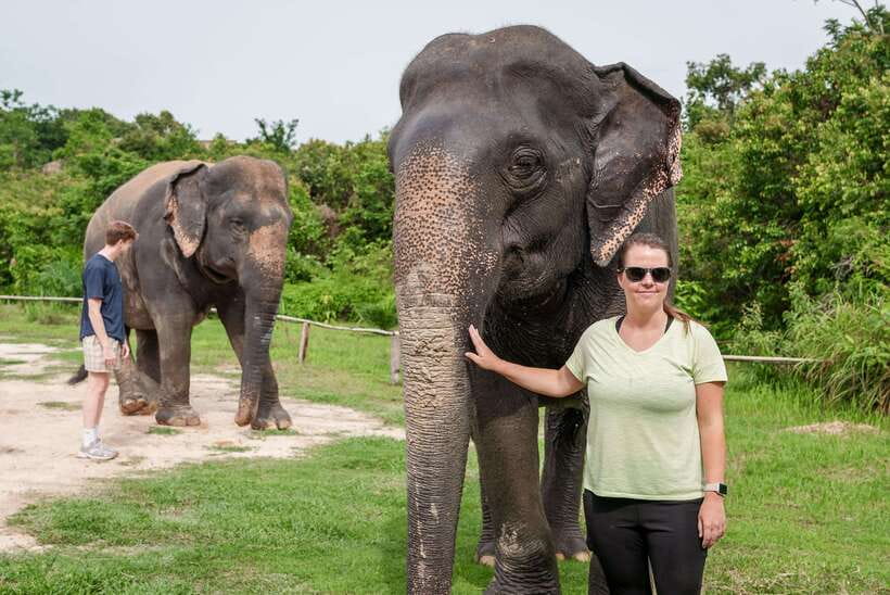 Kulen Elephant Forest Tour with Hotel Pick-up & Drop off - Preparing rice cakes before meeting the elephants