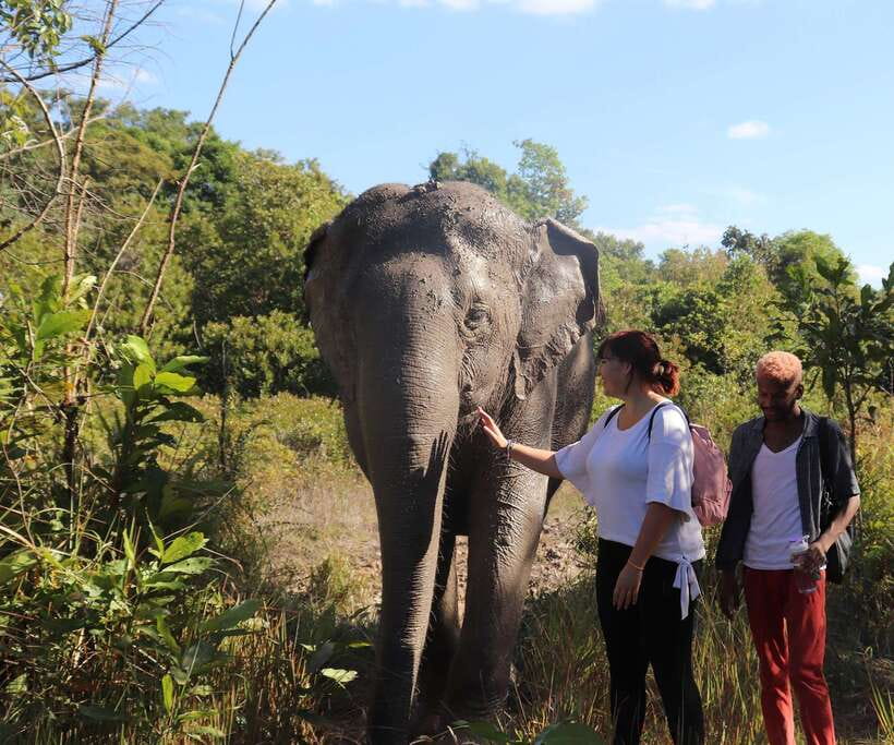 Kulen Mountain Day Trip with Picnic & Kulen Elephant Forest - A 7:30 AM start through the Cambodian countryside