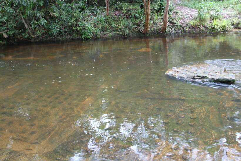 Kulen Mountain: Full-Day Private Waterfall Tour - The reclining Buddha and hilltop pagoda