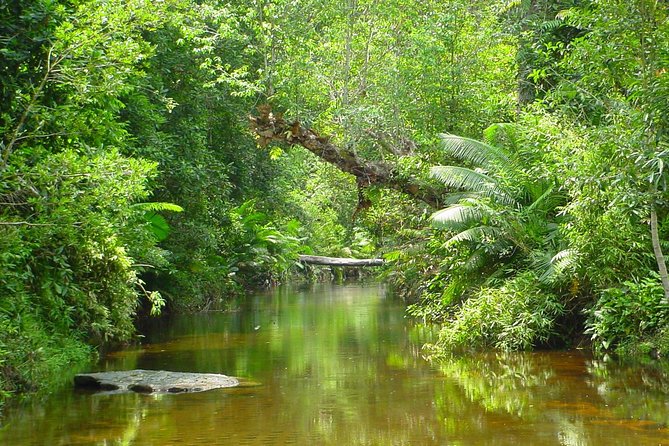 Kulen Waterfall and 1000 Lingas River Private Tour - What the private guide adds