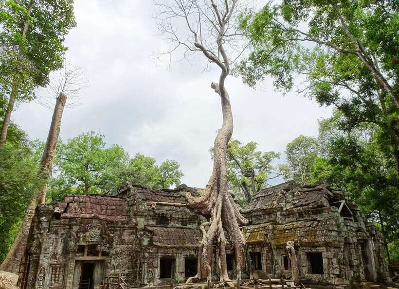 Luxury Private 2-Day Angkor Wat with English or German Guide - The van, water, and practical comfort
